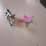 benjamín tabako - @benjamintabako - Instagram