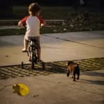 Benjamin Terrazas - @benjaminterrazas2012 - Instagram