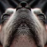 P Benjamin Stoner - @p_benjamin_stoner - Instagram