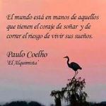 benjamintorres - @pablo_cohelo18204 - Instagram