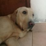 Benjamin Trejo - @benjamin.trejo.3572 - Instagram