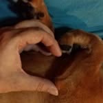 @benjamintucker - Instagram