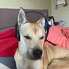 Ben Vance - @benvance8 - TikTok