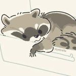 Benjamin Ventura - @sr.__.wolf - Instagram