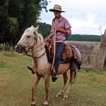 Brandon Benjamin Viera - @brandonnviera - Instagram