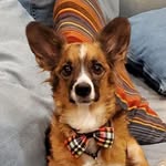 Benjamin Vogel - @vogelb2112 - Instagram