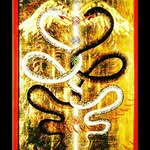 Benjamin Wade            KnowThyself🔑WeAreTheChosen1's ⚡️❤️‍🔥☯️🍀 - @tantricballer - Instagram