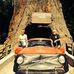 Ben Wainscott - Facebook