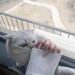 Benjamin Warner - @benjaminwarner59 - Instagram