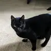 Benjamin Waters - @benjamin.waters1 - TikTok