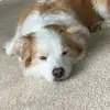 benjaminwatson - @benjaminwatson - TikTok