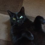 Benjamin Webster - @benjaminwebster6402 - Instagram