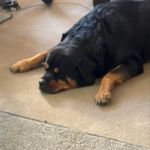 @benjamin_webster_ - Instagram