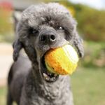 benjamin weinstein - @eric11132 - Instagram