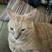 Ben Wescott - Facebook