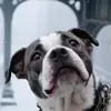 benjamin.white2001 - @benjamin.white2001 - TikTok
