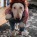 Ben Whitley - Facebook