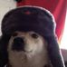 Benjamin Wiberg - Facebook