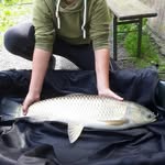 Benjamin Wichmann - @bennywichi1503 - Instagram