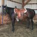 Ben Wiebe - Facebook