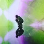 Benjamin Stille-Wiese - @stille.wiese - Instagram