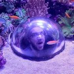 Benjamin Wiggins - @starlightguard - Instagram