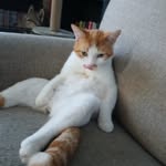 Benjamin Willard - @benjaminw1042 - Instagram