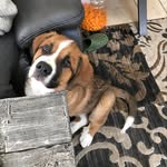 Benjamin Willson - @benwillso - Instagram