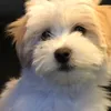 Benjamin Wilton  - @bennyboy5775 - TikTok