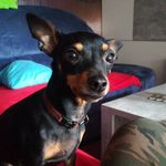 Benjamin - @benjamin_wimmer_14 - Instagram
