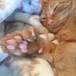 Ben Winchester - @benjaminlevi - Instagram