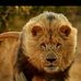 Benjamin Woode - Facebook