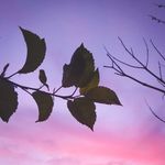 Benjamin Woosley - @_woosley_ - Instagram