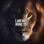 Benjamin Workman - @workmanb1963 - Instagram