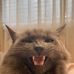 Ben Wormald - Facebook