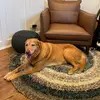 Ben Wurtz - @ben.wurtz - TikTok