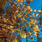 Benny - @benjaminwyman68 - Instagram