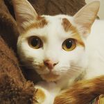 Benjamin Xerri - @benjaminxerri_priv - Instagram