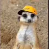 Benjamin Yañez7909 - @benjibabini - TikTok