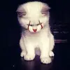 Benjamín Yañez - @benjamin_yaniez86 - TikTok