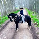 benjaminyañez - @benjaminyanez3 - Instagram