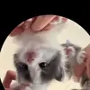 Benjamin Young - @user229465499059907 - TikTok