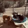 benjaminyoung258 - @_benjaminyoung - TikTok