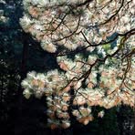 Benjamin Zeng - Facebook