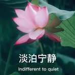 Benjamin Zengxiaobin Zeng - Facebook