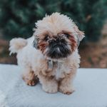 Benji Lewis - @benji_lewis20 - Instagram