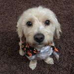 Benjamin Nelson - @benjinelson6 - Instagram