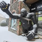 Benn jackson - @monkeybenn12 - Instagram