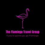 Benn Jackson - @the_flamingo_travel_group - Instagram