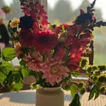 @bennett_road_blooms - Instagram